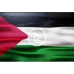 Logo of Palestine Flag Live Wallpaper android Application 