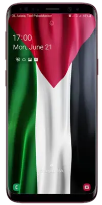 Palestine Flag Live Wallpaper android App screenshot 0